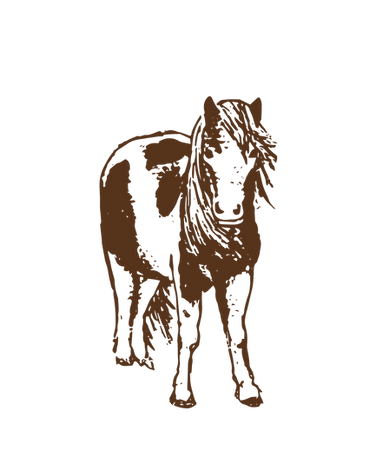 the mindful yard__Shetland brown.png