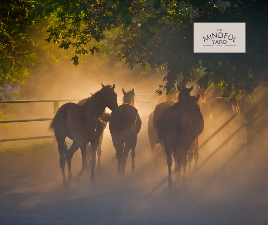 Stillness Before Winter: Embrace Quiet Moments