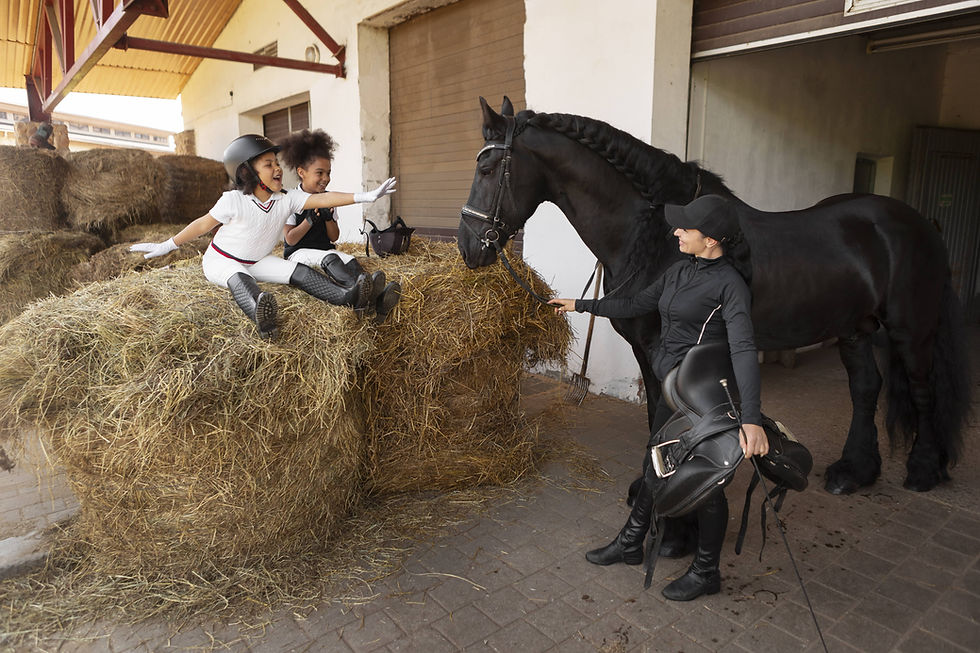 la conciergerie saint francois dassise-prevention et bien etre animal