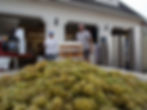 2015-10-06 06.51.49