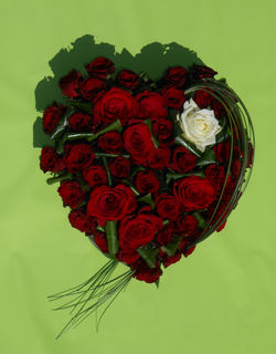 Coeur en roses rouges