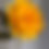 Thumbnail: Peony