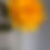Thumbnail: Peony