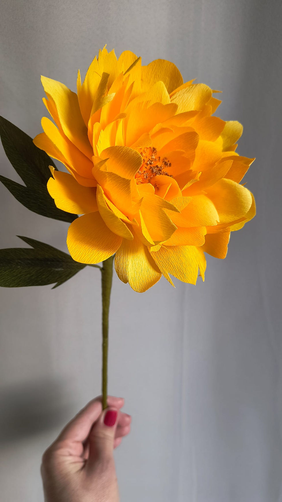 Thumbnail: Peony