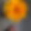 Thumbnail: Peony