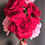 Thumbnail: Garden Rose
