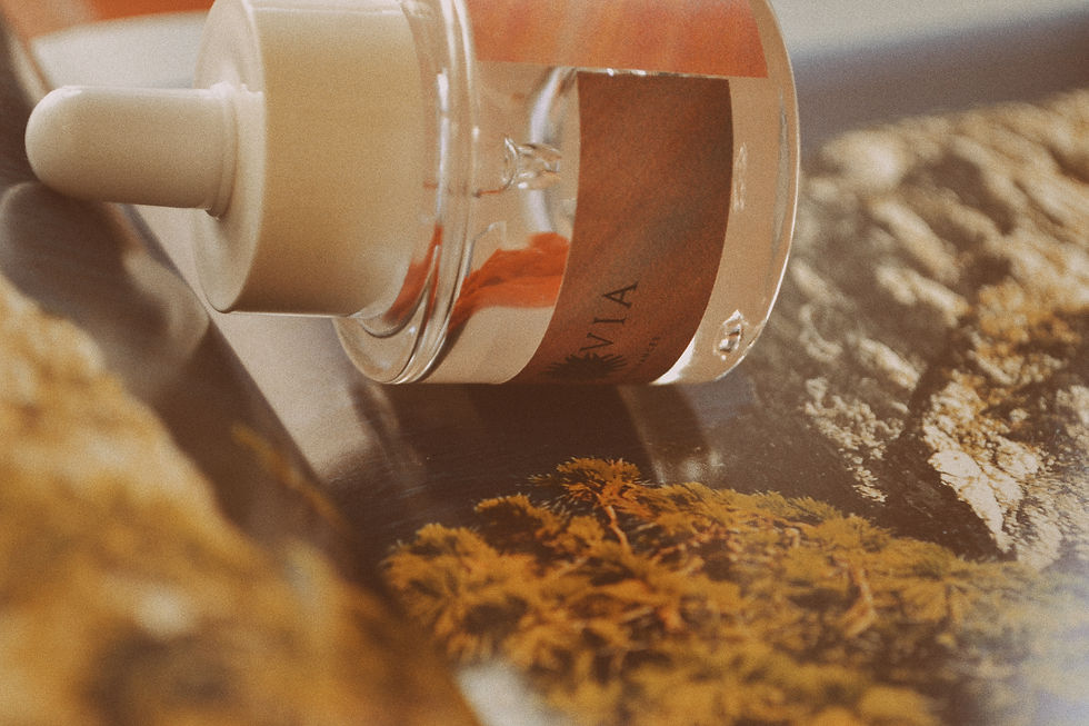 Thumbnail: WHITE with CORAL - JÌJÌ EDITION