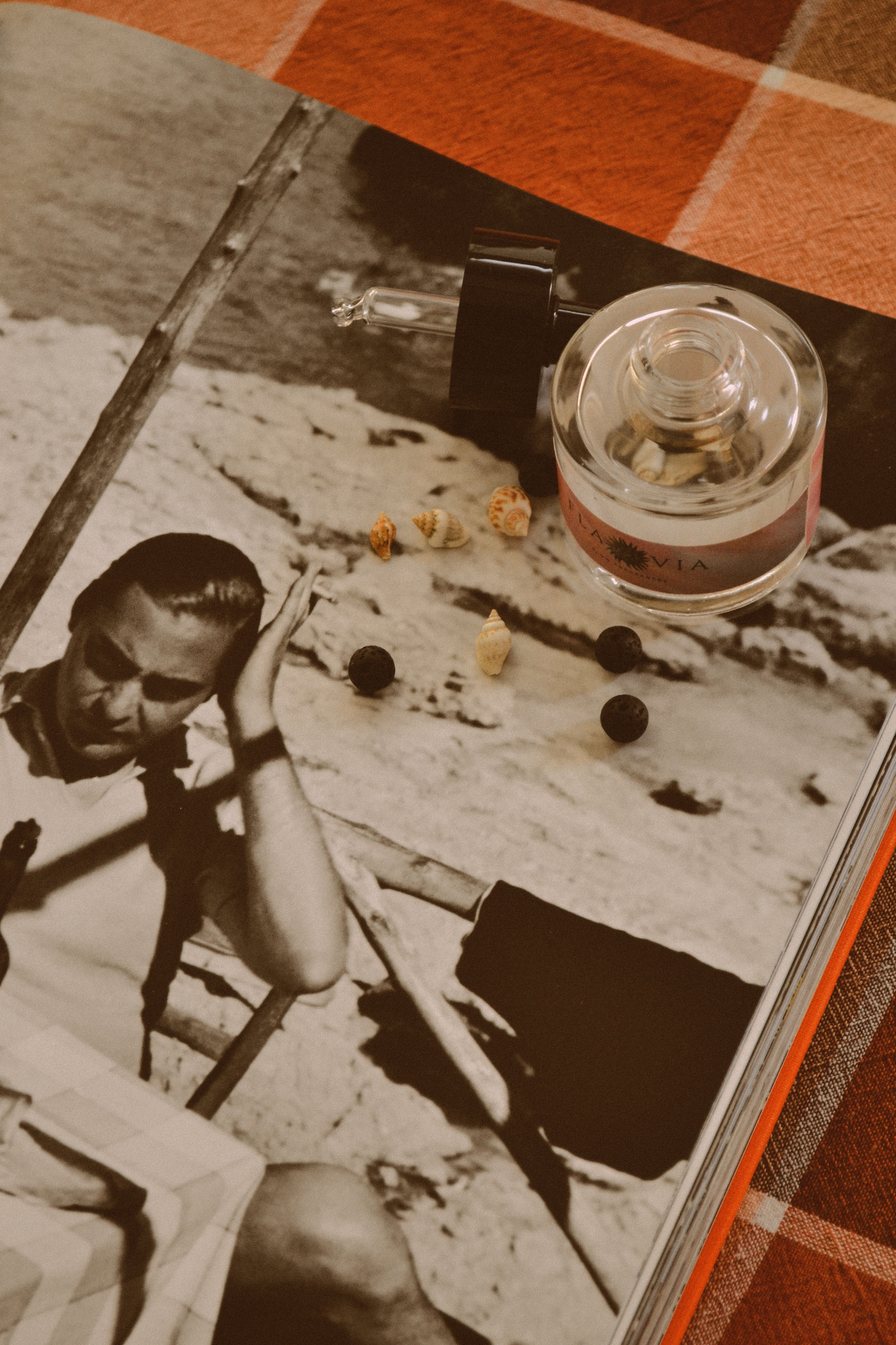 BLACK LAVA STONES & WILD SHELLS - JÌJÌ EDITION