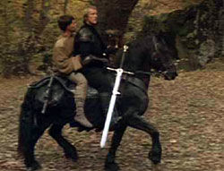 two on horse