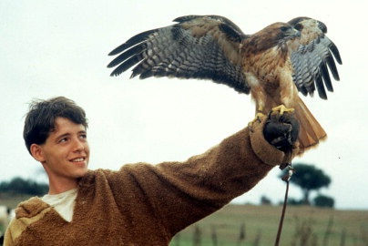 ladyhawke_photo