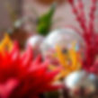 Extreme macro close-up of a girly design studio setting with plants and iridescent disco b