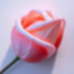 A mixed media artwork combining photography and painting, displaying iridescent colors and