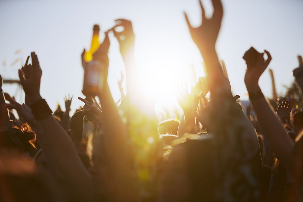 Cheering concert crowd