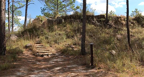Longleaf vista butte