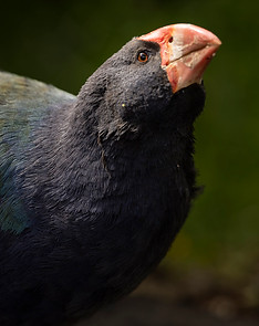 _D6A1275-2.jpg