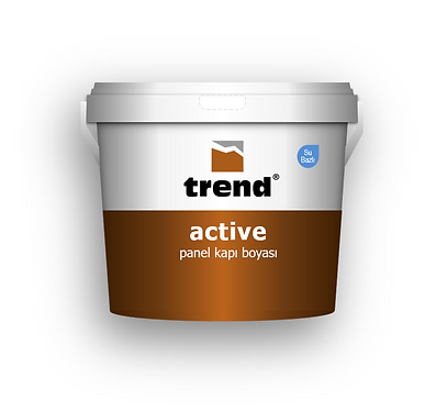 Active Panel Kapı Boyası