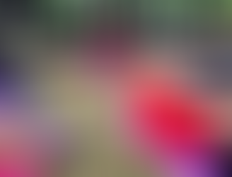 ¿Qué es la Respiración Ovárica Alquimia Femenina? y ¿para qué sirve?