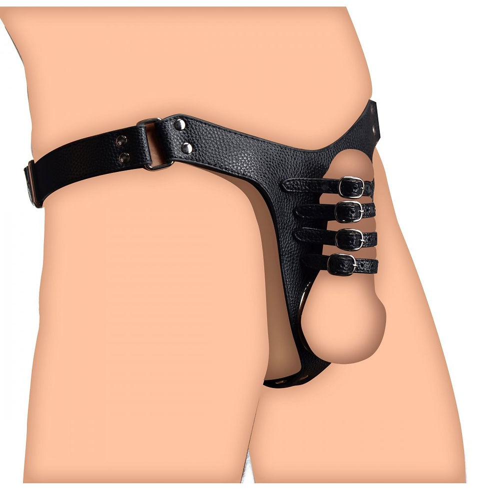 Thumbnail: Strict Male Chastity Harness