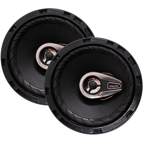 falante 6 prime1.jpg