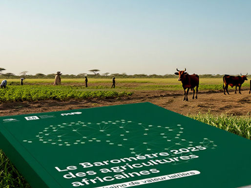 baromètre des entreprises africaines