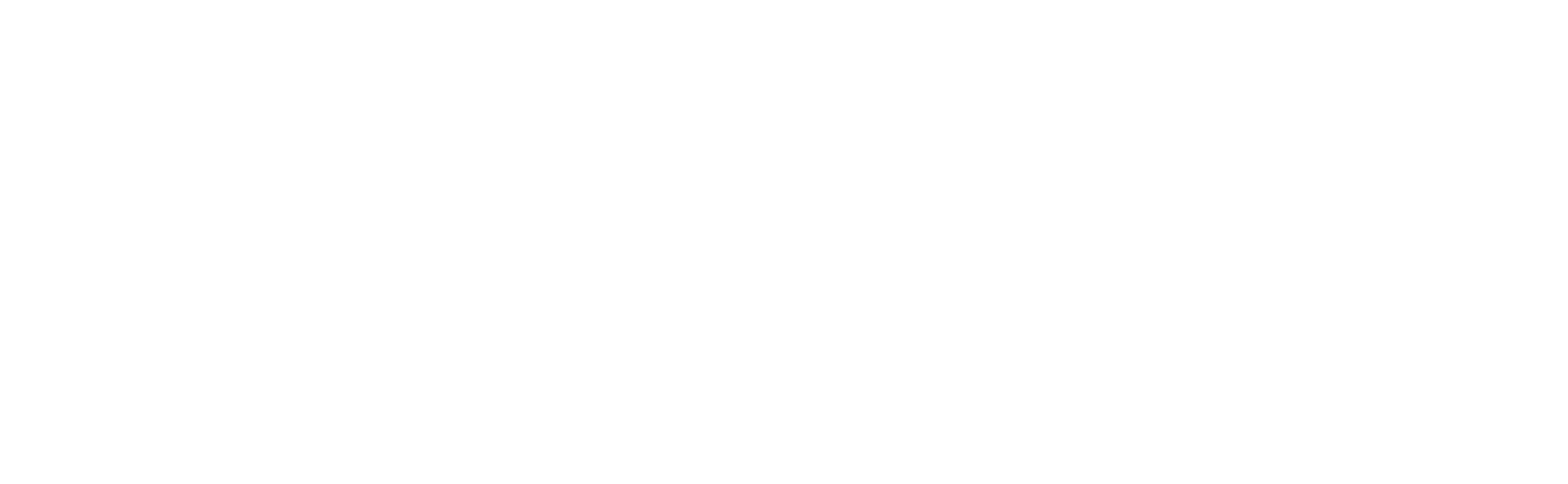 DGCine Horizontal Logo_White.png