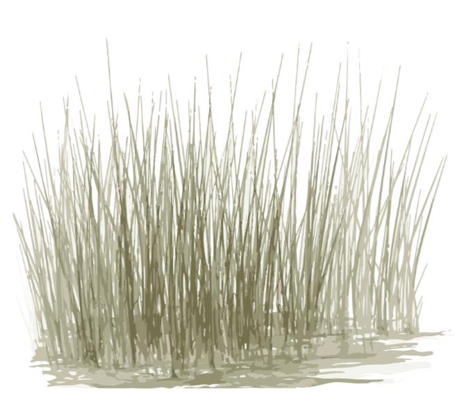 AdobeStock_708083272_edited.png
