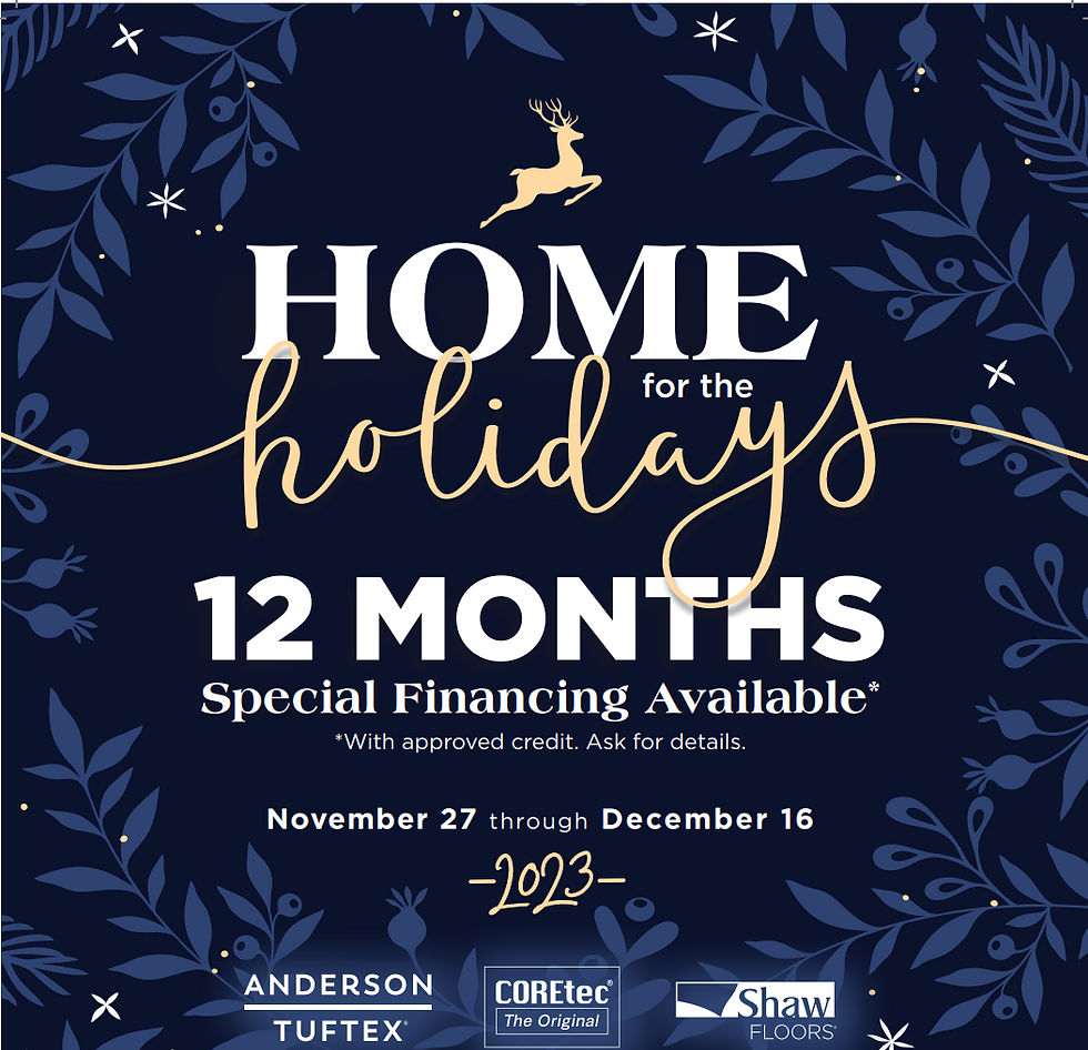 A Holiday Flyer offering 12 months of Special Financing Available with Harry's Carpets