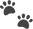 pomeranian puppy paws