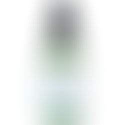 Skinceuticals Phyto Corrective Gel