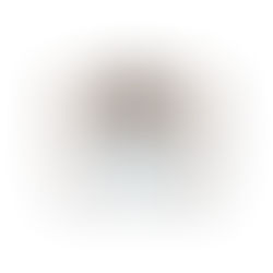 Skinceuticals Triple Lipid Restore 2:4:2
