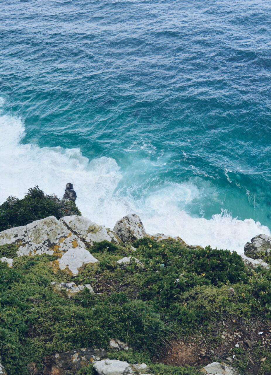 Thumbnail: Chapman's Peak Drive