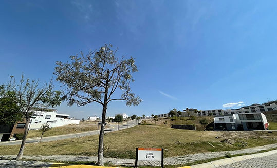 Terrenos en Venta