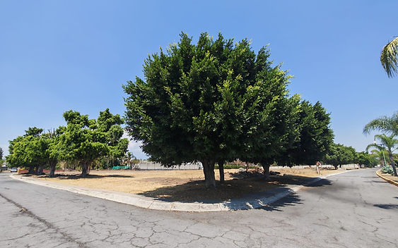 Terrenos en Venta