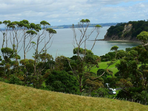 Shakespear - Regional park - Auckland