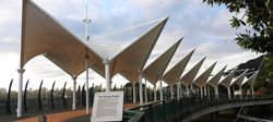 DSCN9510