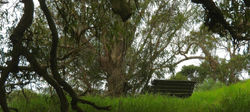 DSCN7329