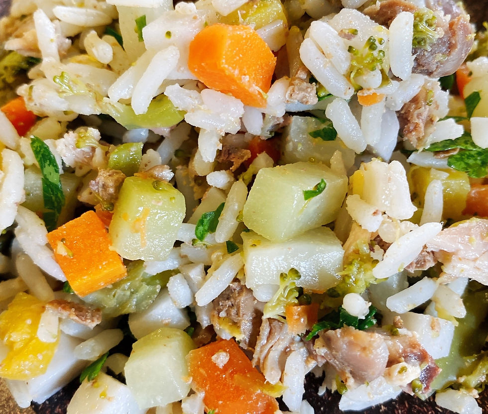 Frango Tradicional – Cães Seniores Saudáveis