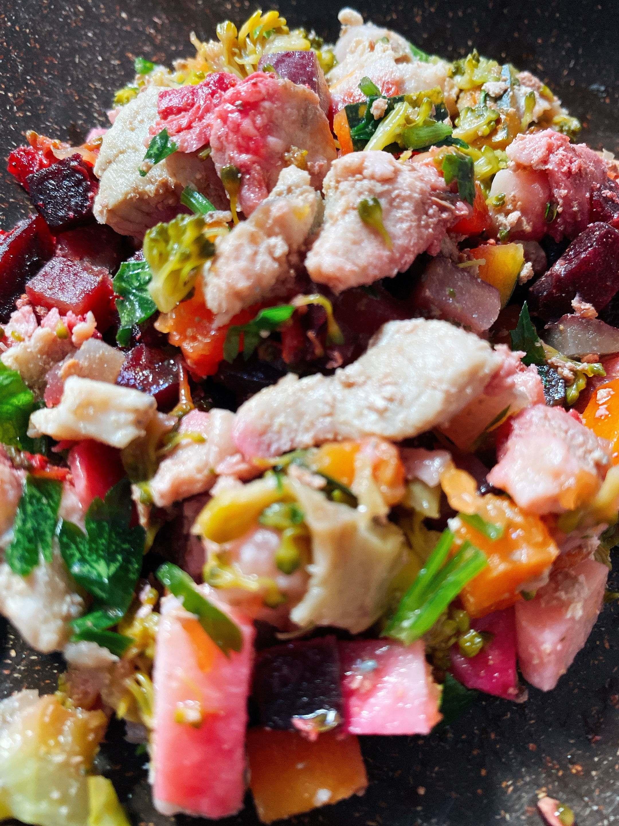 Suíno Grain Free – Cães Adultos Saudáveis