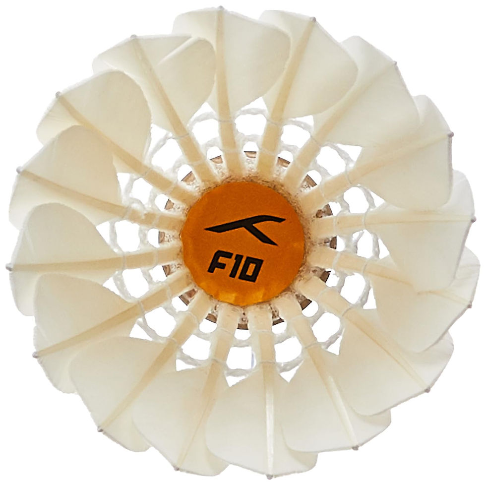 Hundred F10 Feather Shuttlecock
