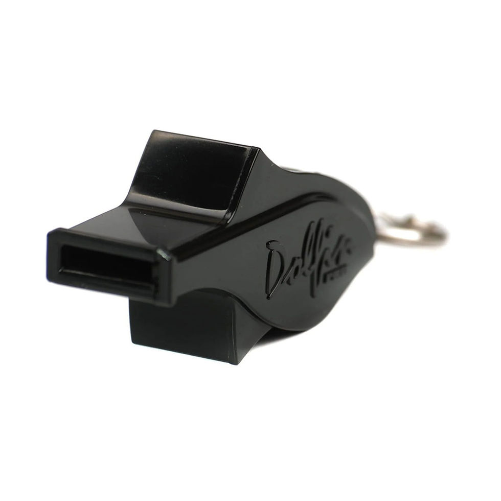 Whistle Dolphin Pro