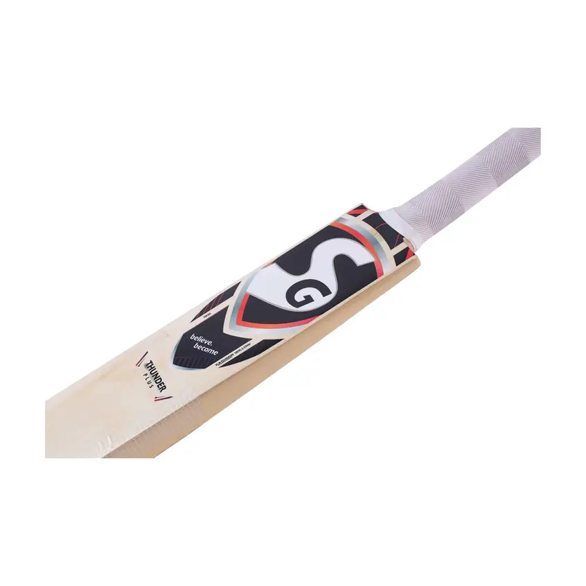 SG Kashmir Willow Cricket Bat