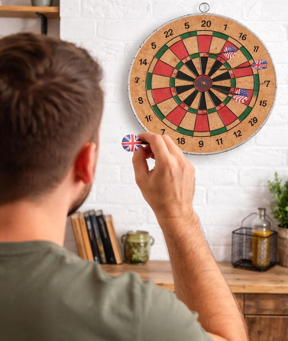 Leosportz Dart Board
