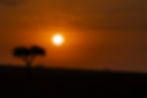 Colors of Kenya.JPG