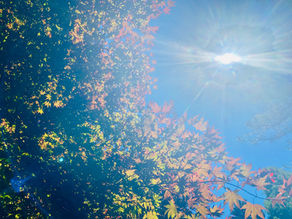 Spiritual Emergence/y - Sun shining through