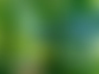 Spiritual Emergence/y Part 2 | Paradigms of Crisis & Growth