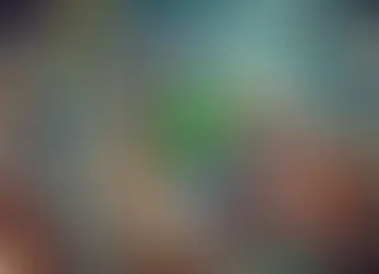 15% da população apostou em bets em 2024 e quase metade está endividada, diz pesquisa