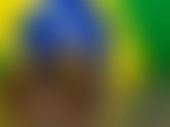 O que é Tesouro Direto?