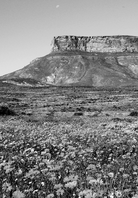 The valley inspiration