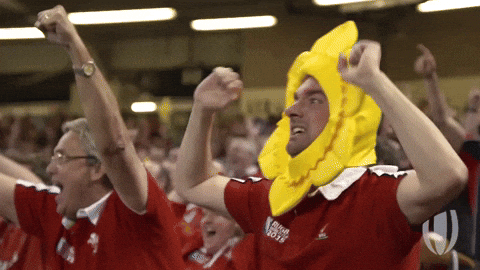 giphy (20).gif