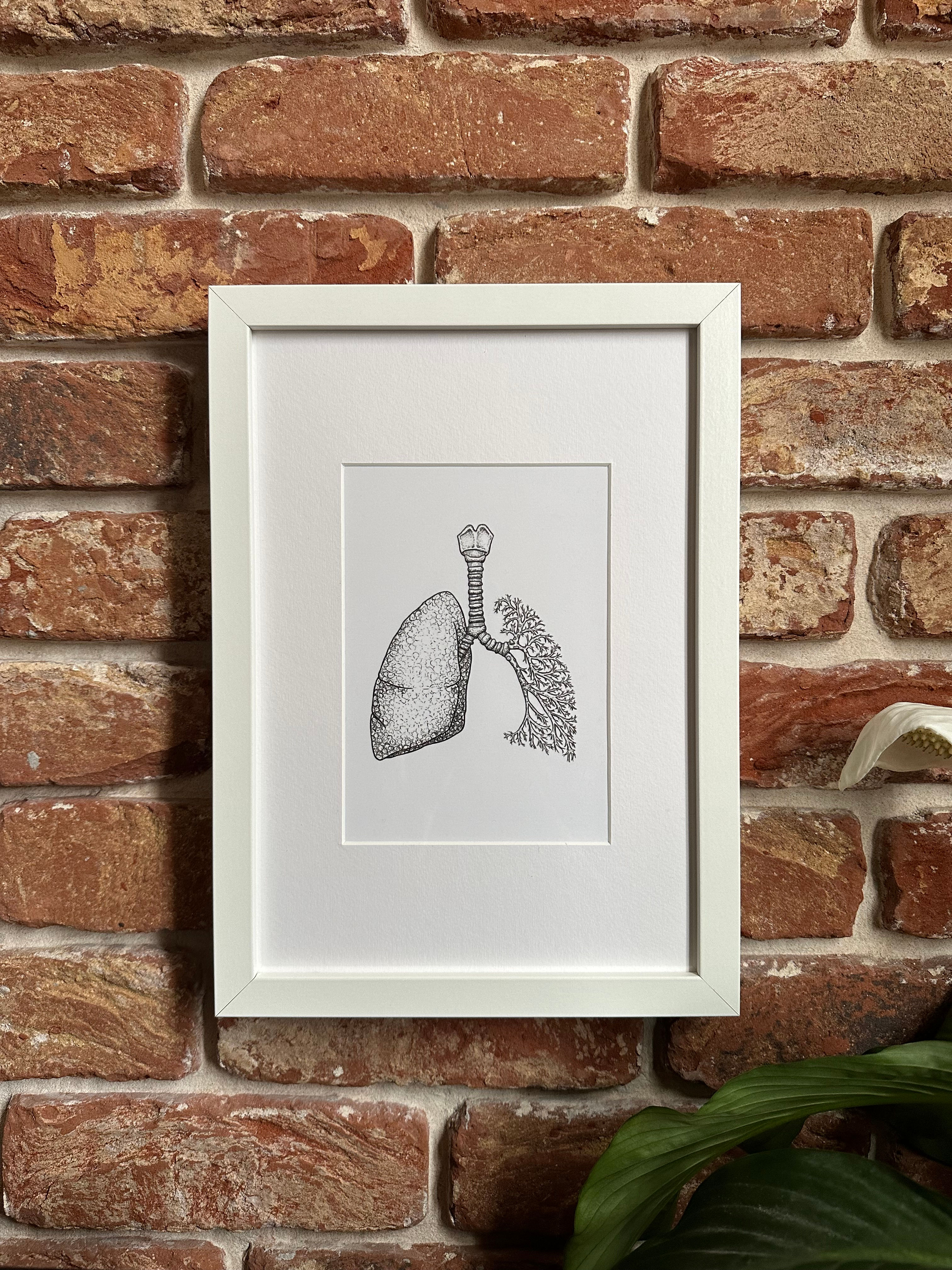 Lung Anatomy Print